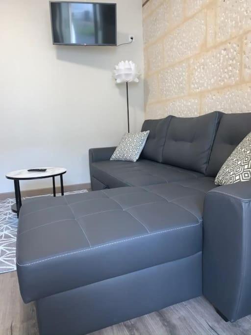 尼奥尔Le Cocon T2 Duplex 24 M2公寓 外观 照片