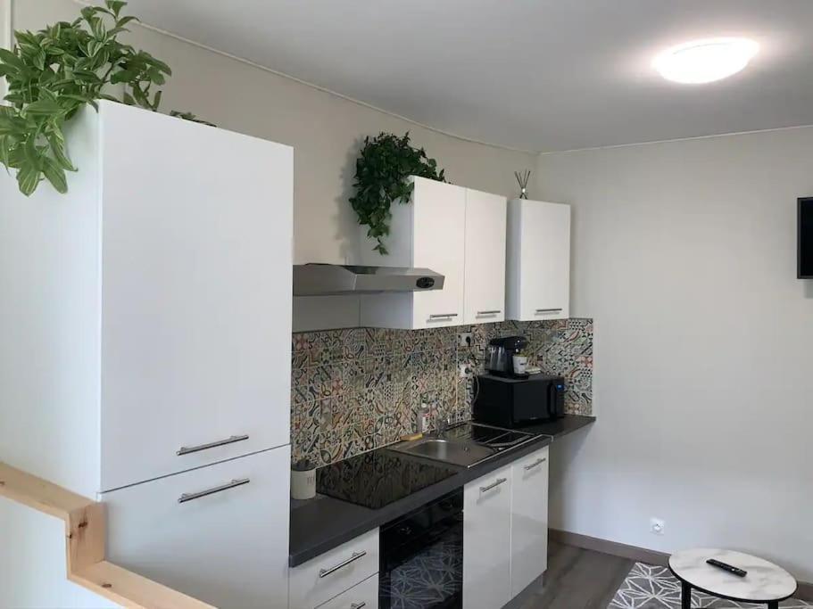 尼奥尔Le Cocon T2 Duplex 24 M2公寓 外观 照片